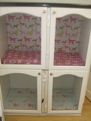 waiting area for dogs