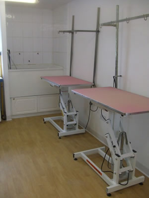Dog grooming salon